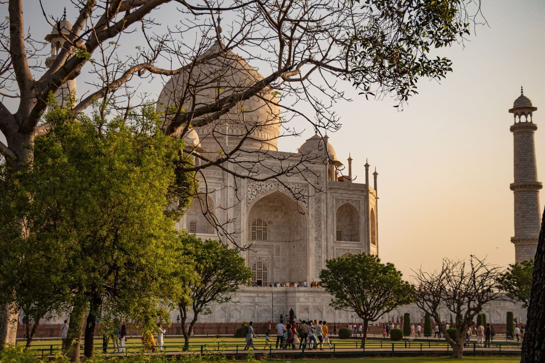 Taj Mahal in evening light, framed by trees