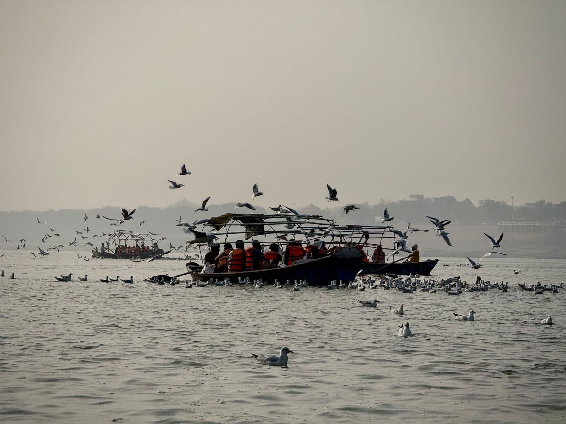 Pilgrim boat surrounded by gulls on the Ganga at Prayagraj